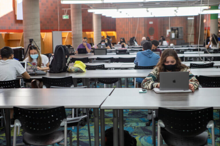 Students studying in Mills Library.