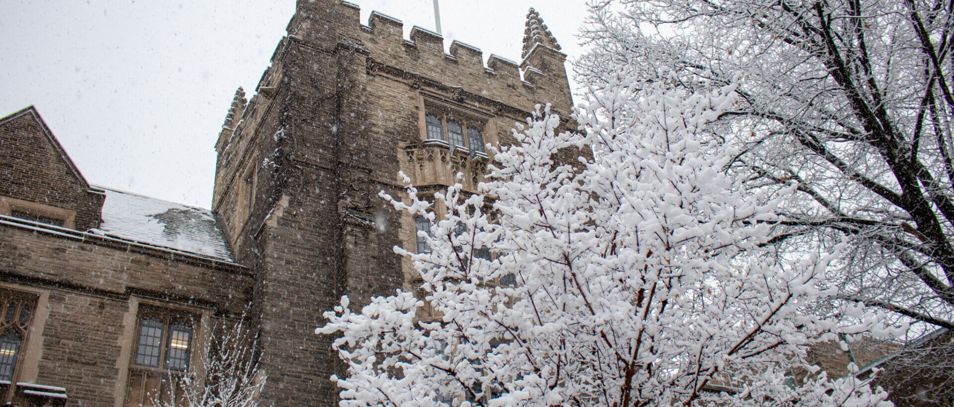 Trees in front of University Hall covered in snow.