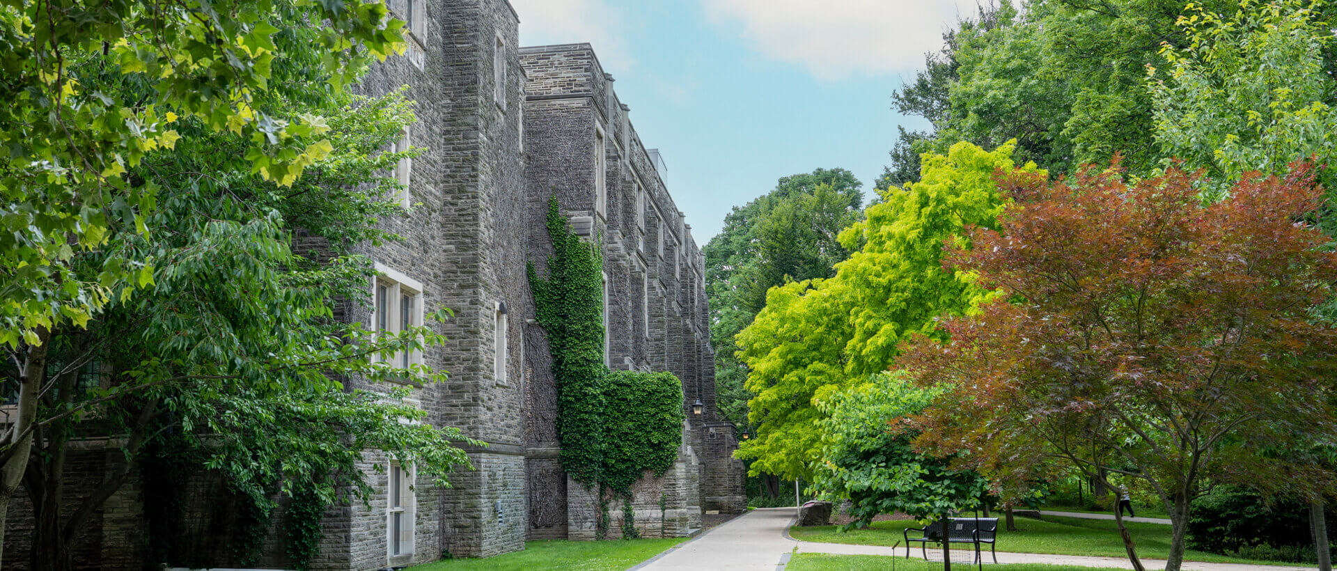 A stone building with ivy and trees beside a walkway on a sunny day. Vibrant greenery creates a serene, inviting atmosphere on a college campus.