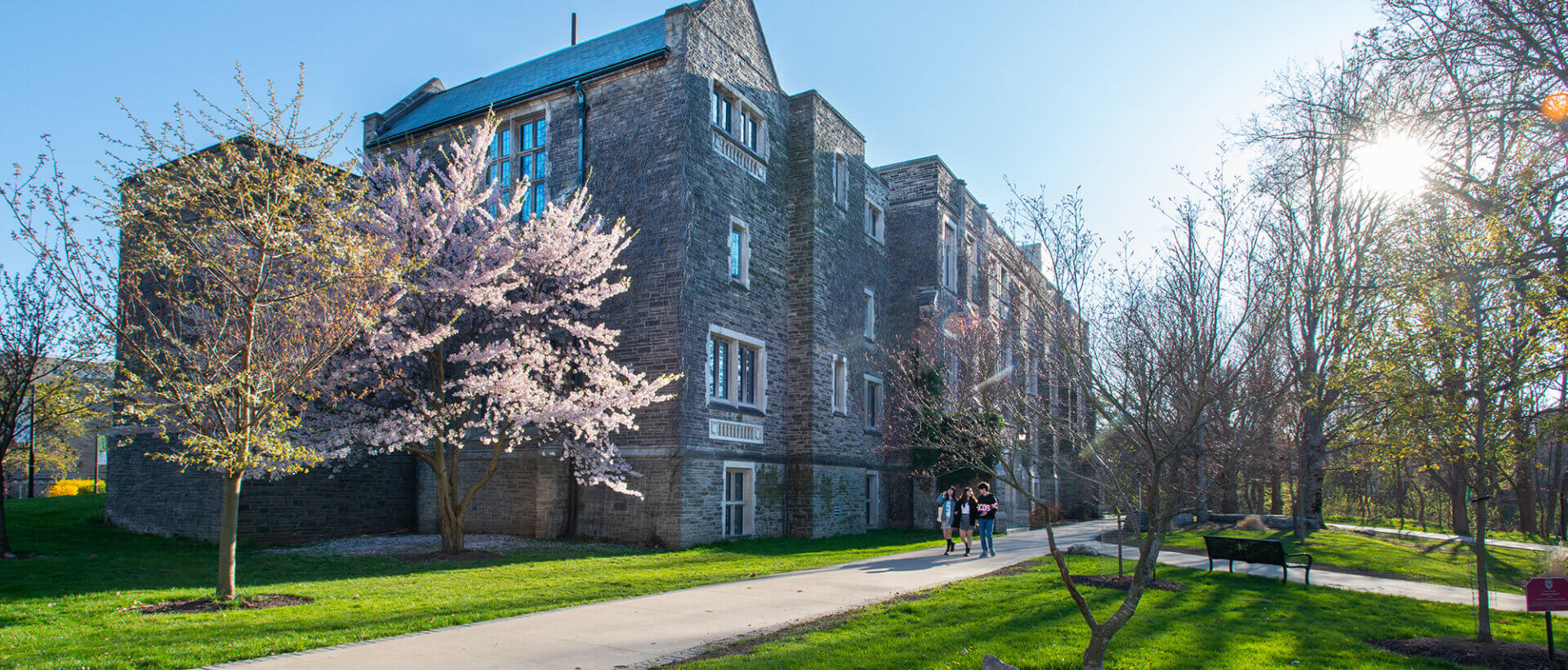 A stone building stands under a clear blue sky, flanked by blooming cherry blossoms. Sunlight filters through trees, illuminating the green lawn.